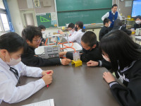 IMG_3233[1]